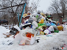 «Они ведут себя не по-людски»: Ленинск утопает в отходах из-за ленивых мусорщиков