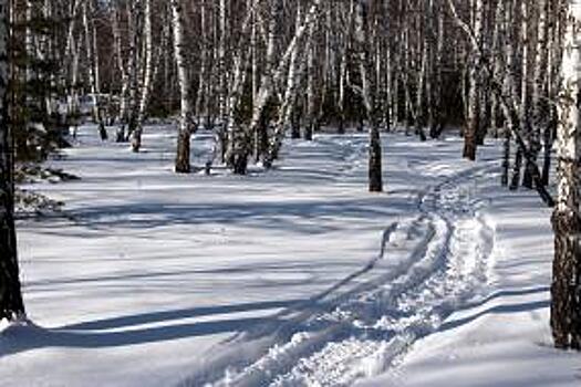 Фонд «НОВОТРАНС – 5П» и РСПП приглашают россиян на всероссийскую «Лыжню памяти-2020»