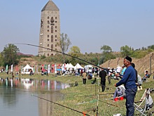 Рыба чеченской национальности