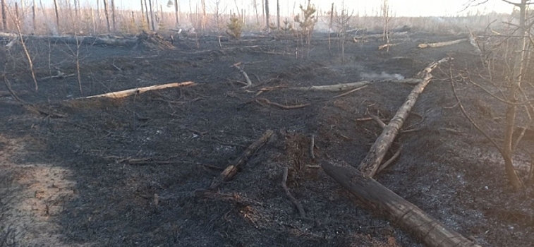 В Ивановской области начался пожароопасный сезон