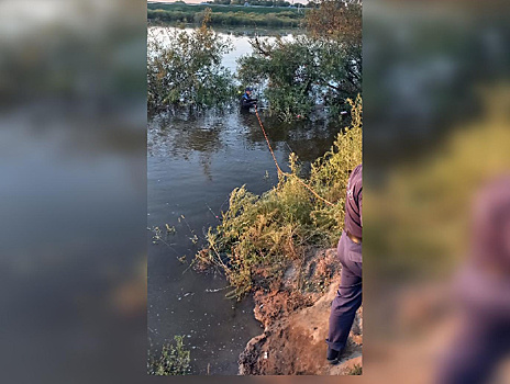 В Амурской области пенсионер решил переплыть озеро и утонул