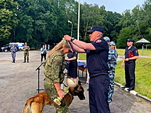 Калининградские силовики устроили соревнование, чтобы выяснить, кто лучше всех ищет наркотики