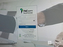 Более 6 тысяч нижегородских бизнесменов используют личный кабинет «ТНС энерго НН»