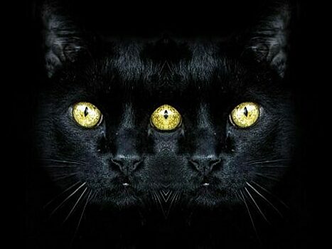 Легенды старого города и потаённые места: в Зеленоградске проведут театрализованную прогулку