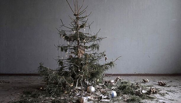 Жителям Удмуртии рассказали, что делать с живой ёлкой после праздников