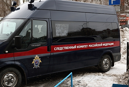 СМИ: В Омск со служебной проверкой едут московские следователи