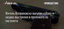 Житель Всеволожска выгулял собаку и заодно выстрелил в прохожего из пистолета