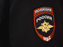 В Самарской области полицейскими остановлена фура с сомнительной алкогольной продукцией