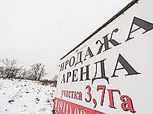 На «Интеграл» точат Зубово