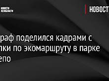 Фотограф поделился кадрами с прогулки по экомаршруту в парке Монрепо