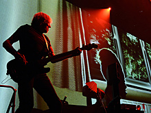 Основатель Pink Floyd послал недовольных критикой Трампа на концерт Кэти Перри