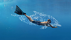 Апокалипсис, дельфины и антиутопия: подборка премьер, которые нельзя пропустить