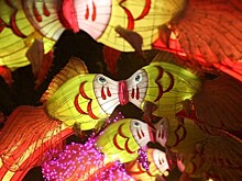 В Москве открылся Фестиваль китайских фонарей