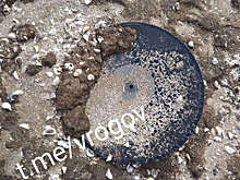 Рогов: в Запорожье обнаружили 50-летний артефакт на русском языке на дне Днепра