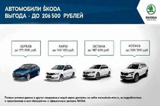 Челябинцы в мае смогут купить автомобили ŠKODA по специальным ценам
