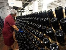Доля отечественных вин на рынке России может вырасти до 70%