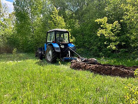 В Нижегородской области очистят более 3 800 га от сухостоя