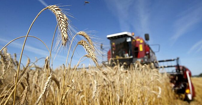 Господдержка томских аграриев на 2020 год выросла почти до 1,5 млрд рублей