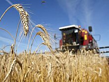 Господдержка томских аграриев на 2020 год выросла почти до 1,5 млрд рублей