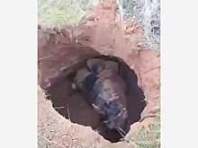 Всадник на лошади провалился в огромную яму в России и сделал неожиданное открытие