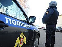 Детского омбудсмена в Петербурге обокрали почти на 300 тысяч рублей