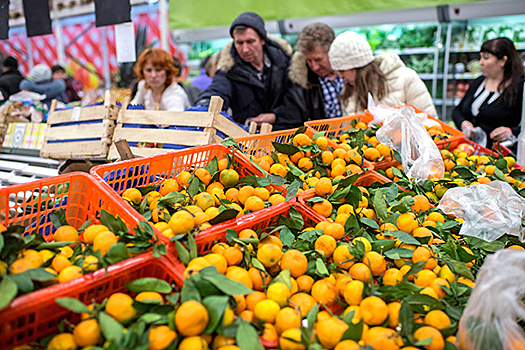 Из Египта в РФ поступили овощи и фрукты с карантинными объектами