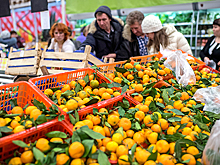 Из Египта в РФ поступили овощи и фрукты с карантинными объектами