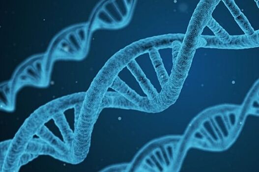 Ученые обнаружили генетические причины анорексии и булимии