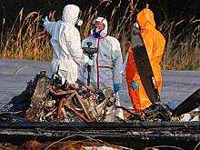 Названа причина крушения самолета совладелицы S7