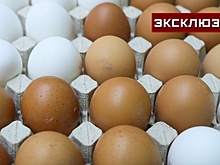 В Россельхознадзоре рассказали о правилах поставки куриного яйца из Турции