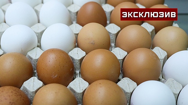 В Россельхознадзоре рассказали о правилах поставки куриного яйца из Турции