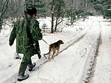 Ненцам и эвенкам предложили разрешить охоту независимо от места проживания
