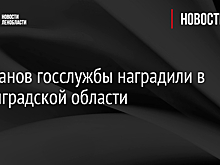 Ветеранов госслужбы наградили в Ленинградской области