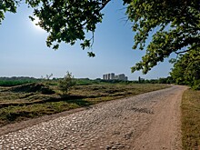 Жители хутора преодолевают 15 км до автобуса: проблемой займется СК Кубани