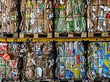 Студенты из Новосибирского университета придумали нейросеть, сортирующую мусор