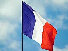 Политолог: Французов не волнует продвигаемая Макроном тема Украины