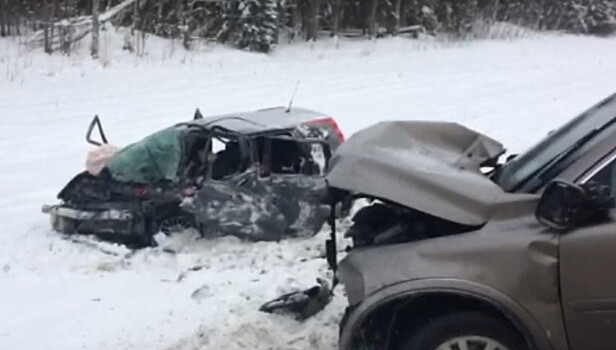 Полиция возбудила дело после ДТП с четырьмя погибшими в Вологодской области