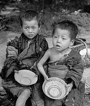 Зачем Китай хотел истребить всех воробьев