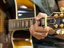 Концерт сольных гитаристов и ансамблей пройдет в Московском планетарии 8 ноября