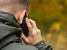 Мошенники запустили новую схему обмана россиян с помощью якобы похищенных детей