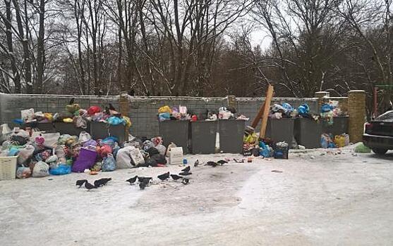 На курском проспекте Клыкова не вывозится мусор