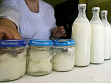 В Железногорске Курской области рост цен на молочной кухне уже «аукнулся»