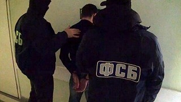 Украинец перетянул на канате по льду в Россию полтонны орехов