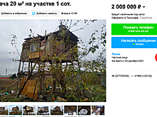 Дом «для настоящих мужиков» решили продать за миллионы рублей