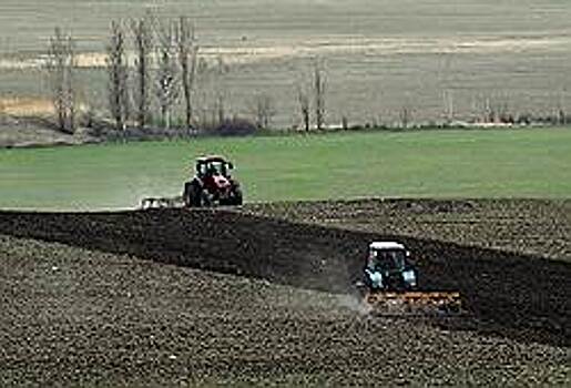 Более 3,1 млрд руб. направят в этом году на поддержку сельского хозяйства в Самарской области