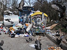 Проблема мусора во Львове переросла в катастрофу
