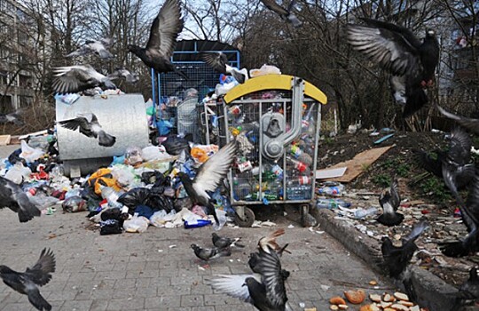 Проблема мусора во Львове переросла в катастрофу