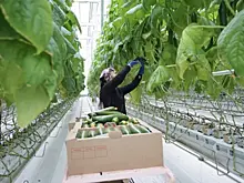 Названы самые популярные профессии в 2024 году в сфере рабочих специальностей
