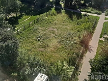 Куряне жалуются, что траву перед домом не косят несколько лет