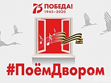 В Курске пройдёт акция #ПОЕМДВОРОМ